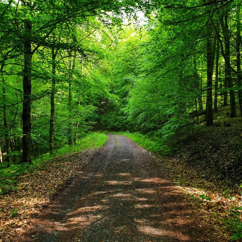 Correre in primavera: percorsi esclusivi in Italia e all’estero